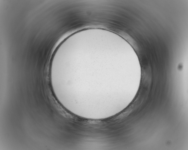 X0000090741052200708172004