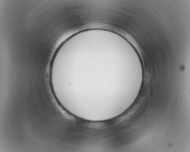 X0000090741053200708172004