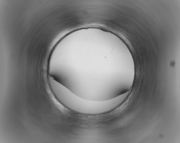 X0000090741054200708172004