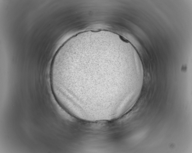 X0000090741055200708172004