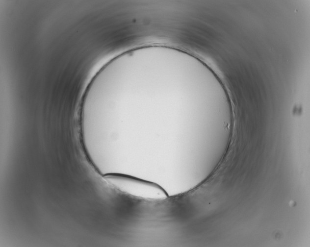 X0000090741056200708172004