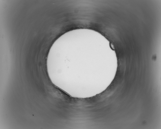 X0000090741057200708172003