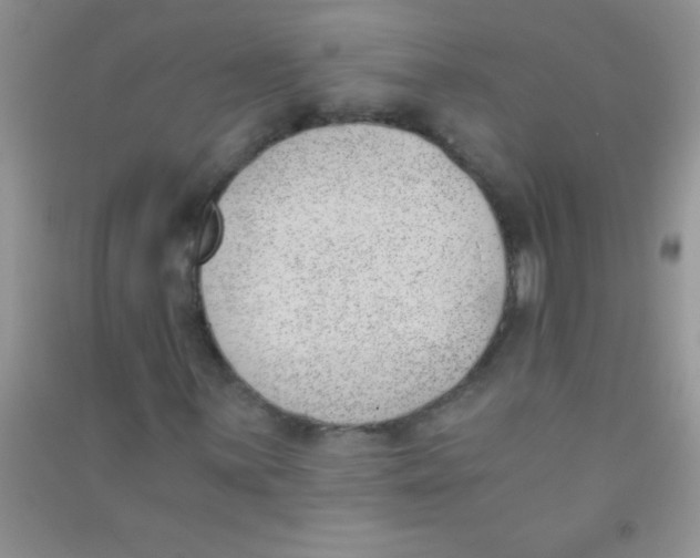 X0000090741059200708172003