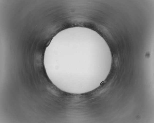 X0000090741060200708172003