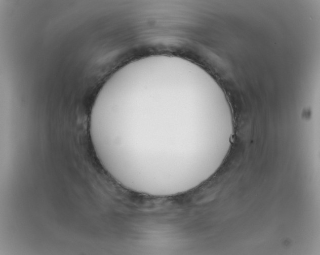 X0000090741061200708172003