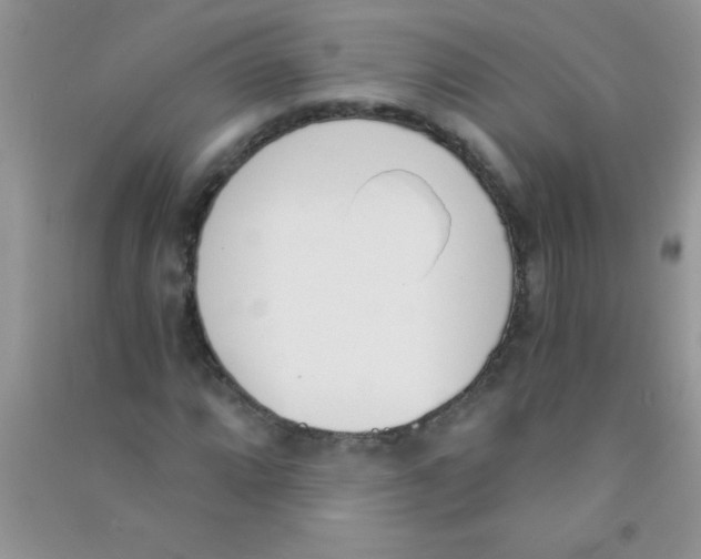 X0000090741064200708172003