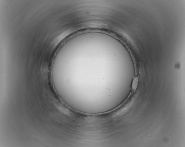 X0000090741065200708172003