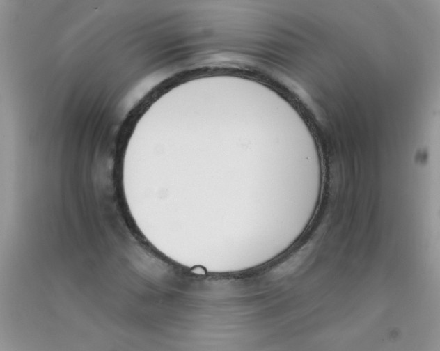 X0000090741066200708172003