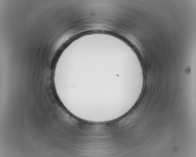 X0000090741067200708172003