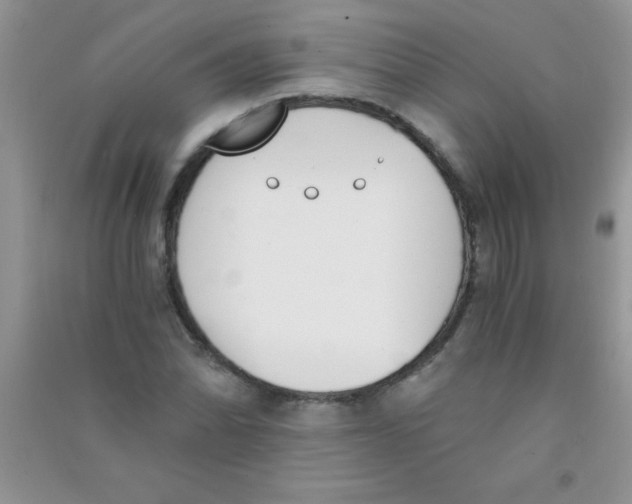 X0000090741070200708172003