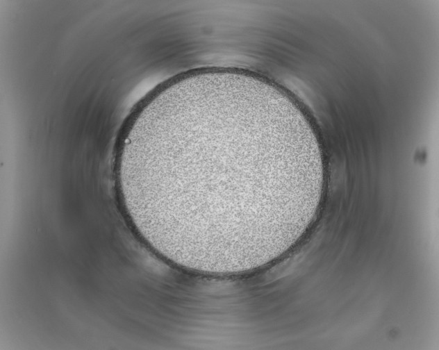 X0000090741071200708172003