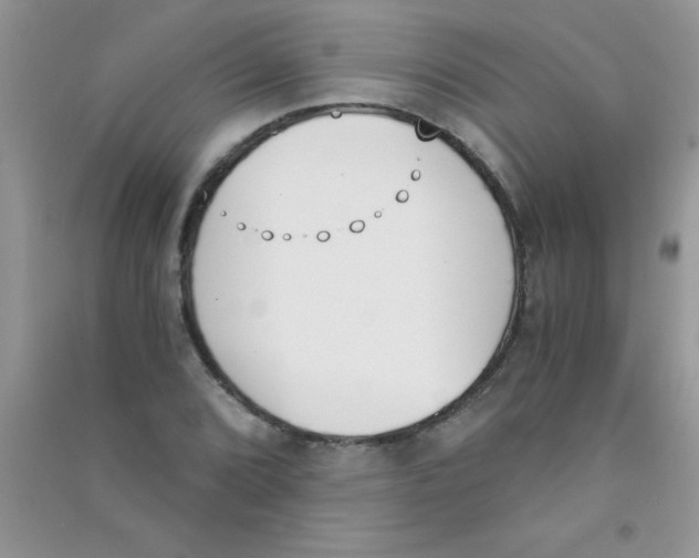 X0000090741072200708172003