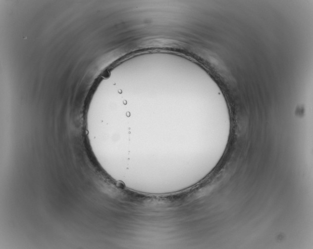 X0000090741073200708172003