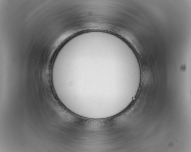 X0000090741074200708172003