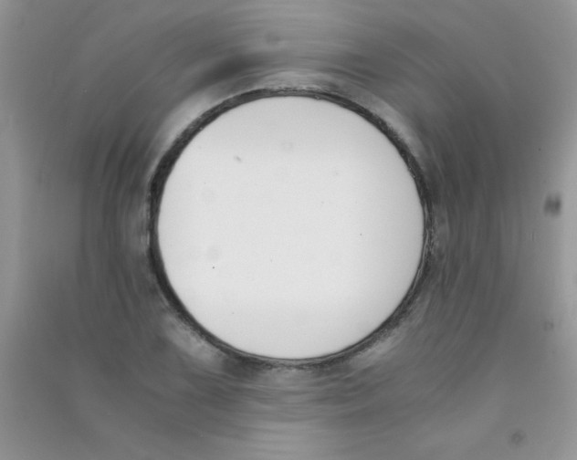 X0000090741075200708172003