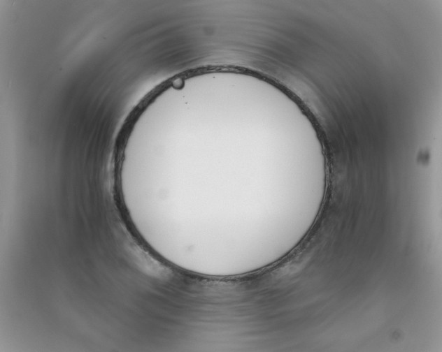 X0000090741076200708172003