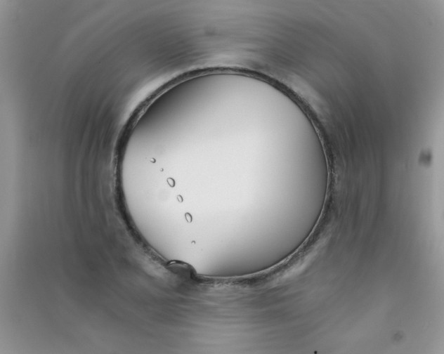 X0000090741077200708172003