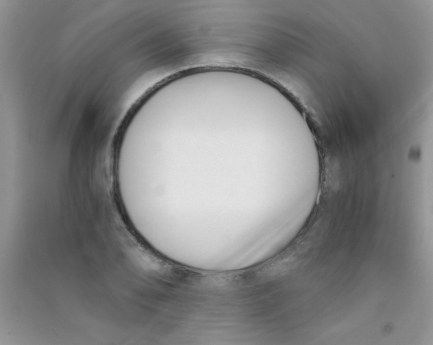 X0000090741078200708172003