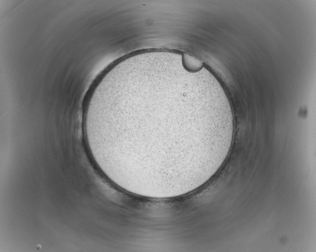 X0000090741079200708172003