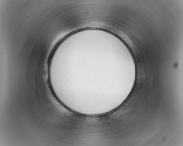 X0000090741080200708172003