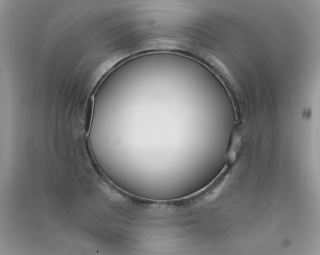 X0000090741081200708172003