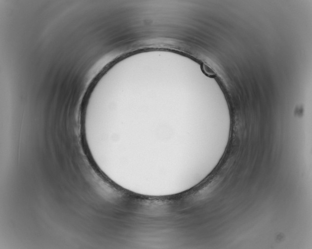 X0000090741082200708172003