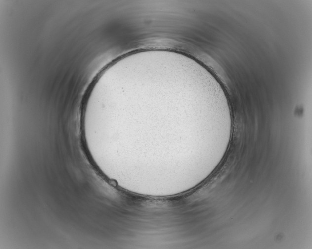 X0000090741083200708172003