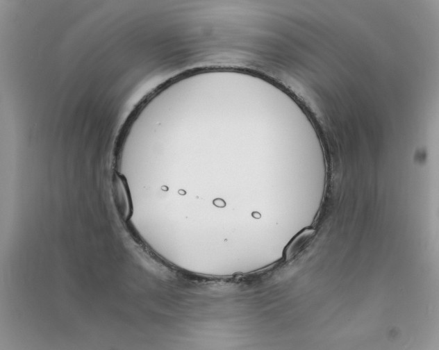 X0000090741085200708172003