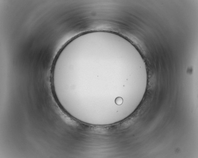 X0000090741086200708172003