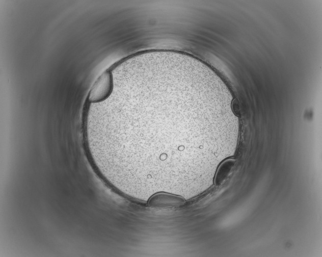 X0000090741087200708172003