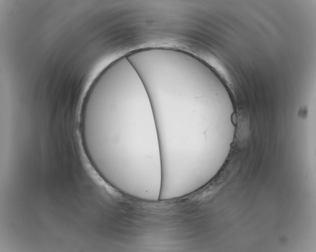 X0000090741088200708172003