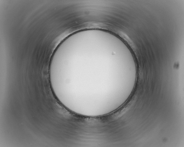 X0000090741089200708172003