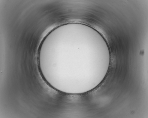 X0000090741090200708172003