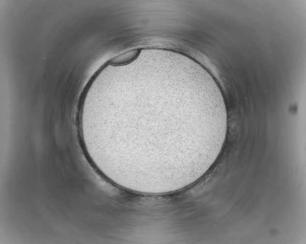 X0000090741091200708172003