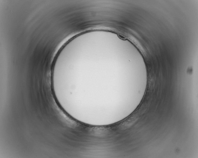 X0000090741092200708172003