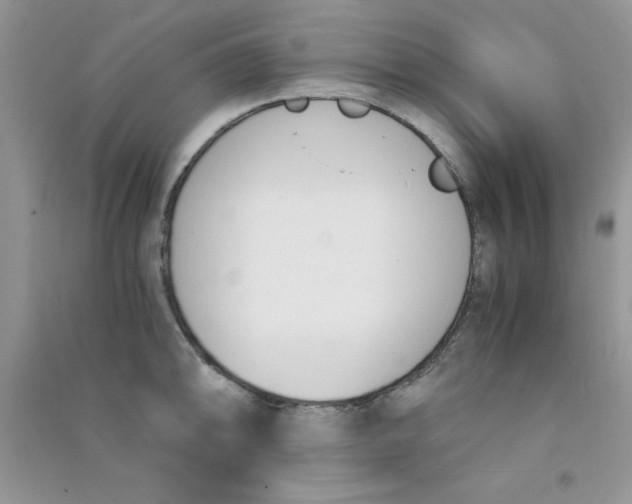 X0000090741094200708172003