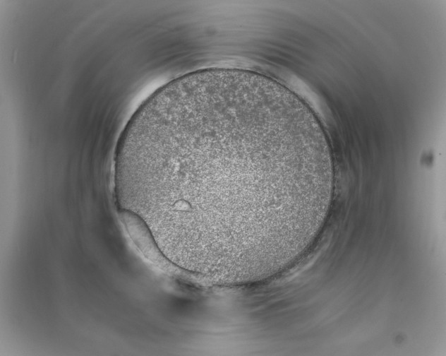 X0000090741095200708172003