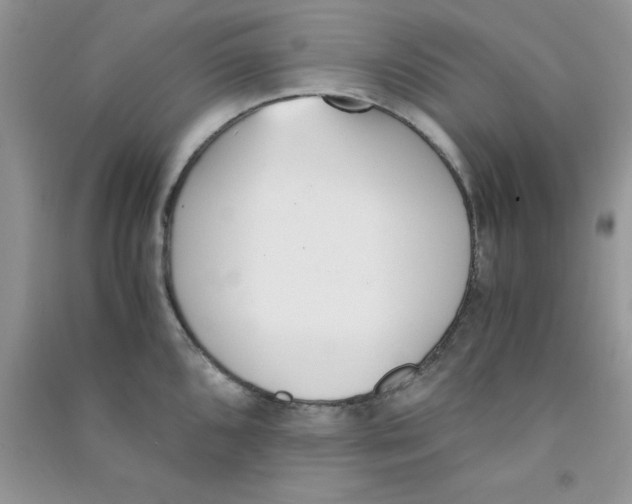 X0000090741096200708172003