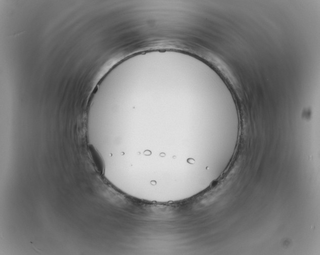 X0000090741097200708172003