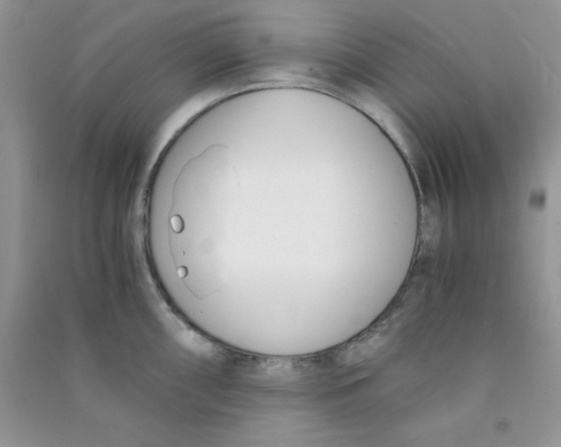 X0000090741098200708172003