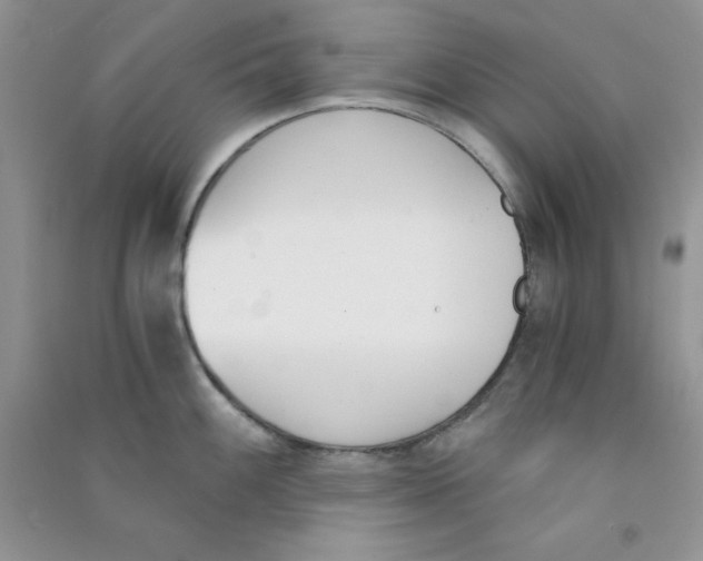 X0000090741100200708172003