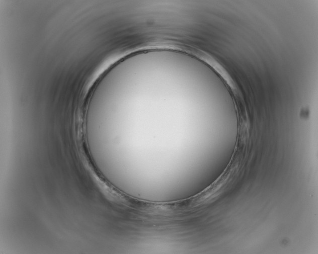 X0000090741101200708172003