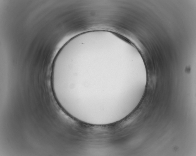 X0000090741102200708172003