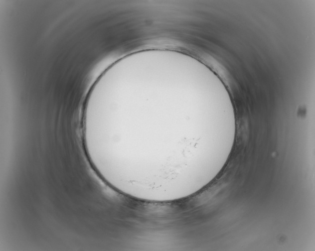 X0000090741103200708172003