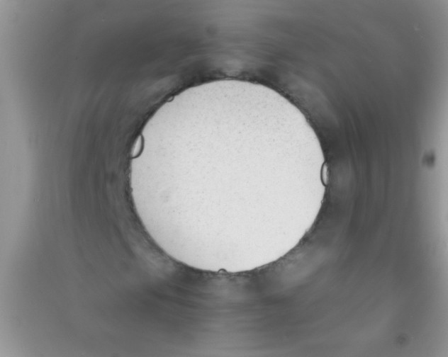 X0000090741105200708172002