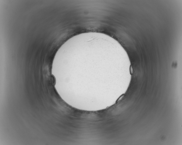 X0000090741106200708172002