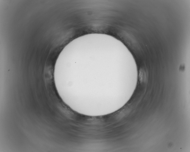 X0000090741107200708172002