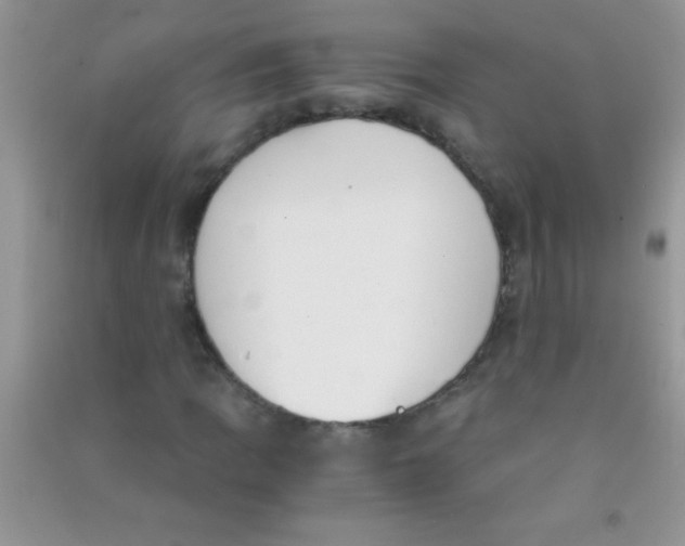 X0000090741109200708172002