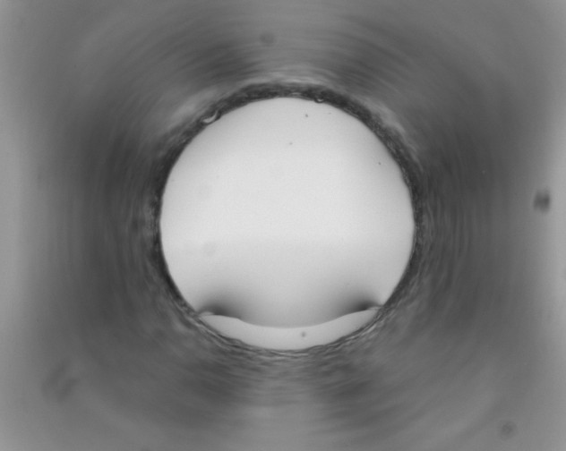 X0000090741110200708172002