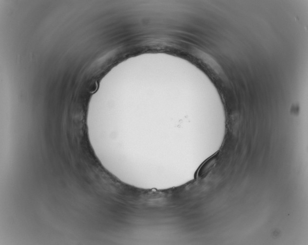 X0000090741111200708172002